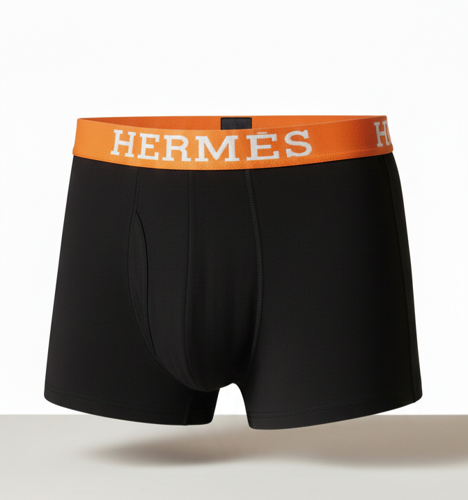 Hermès boxer