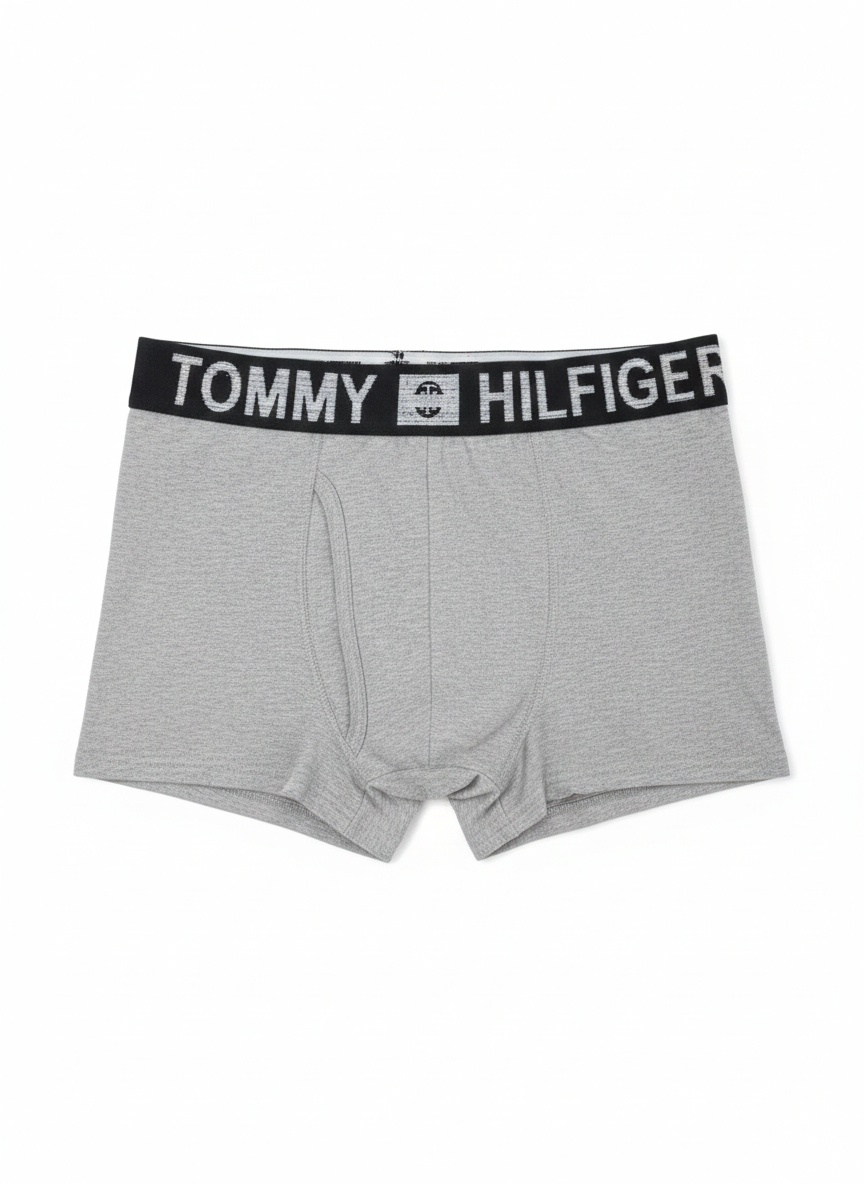 Tommy boxer 3D