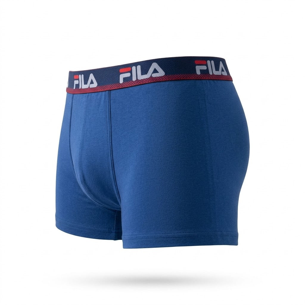 Fila boxer