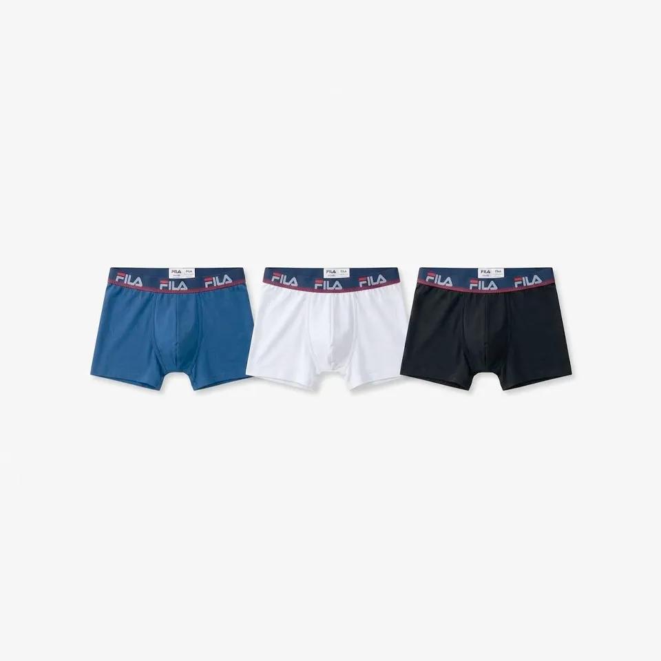 Fila boxer