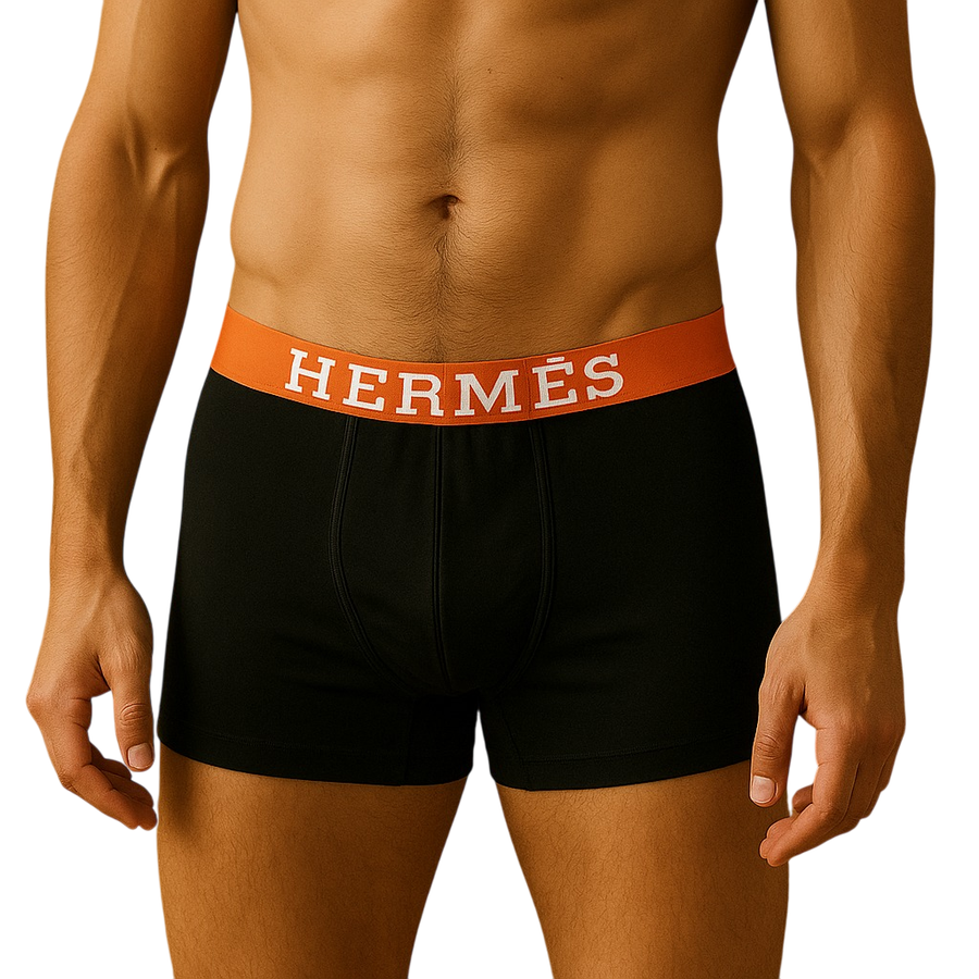 Hermès boxer