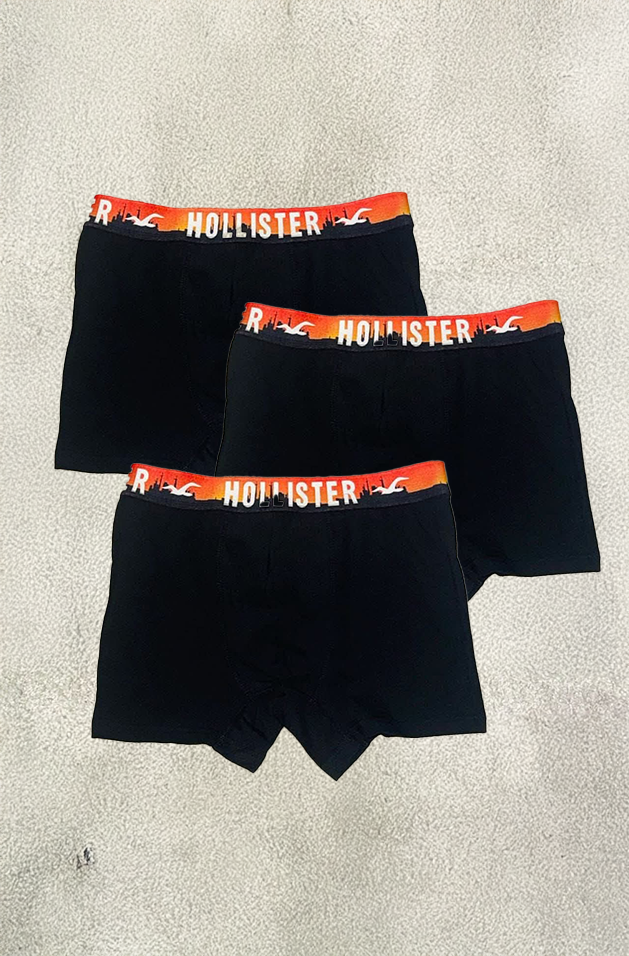 Hollister boxer