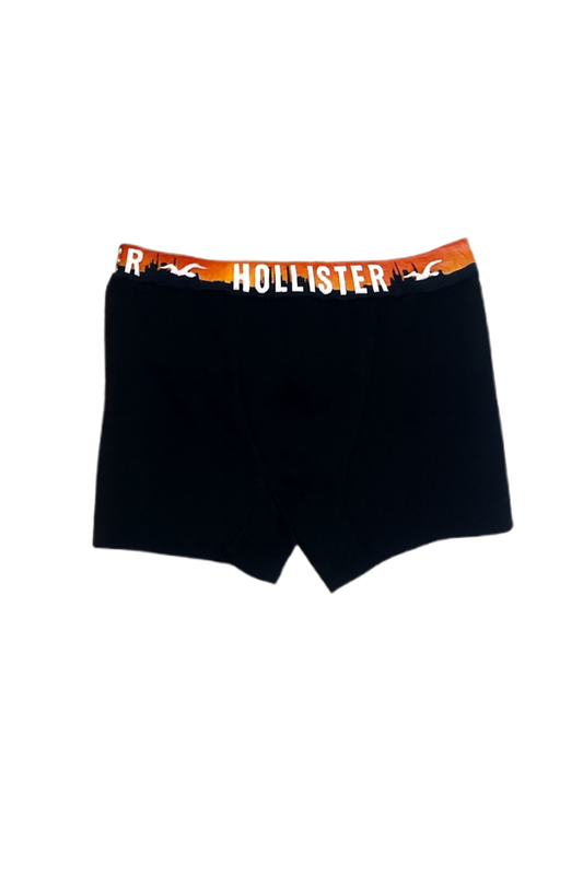 Hollister boxer
