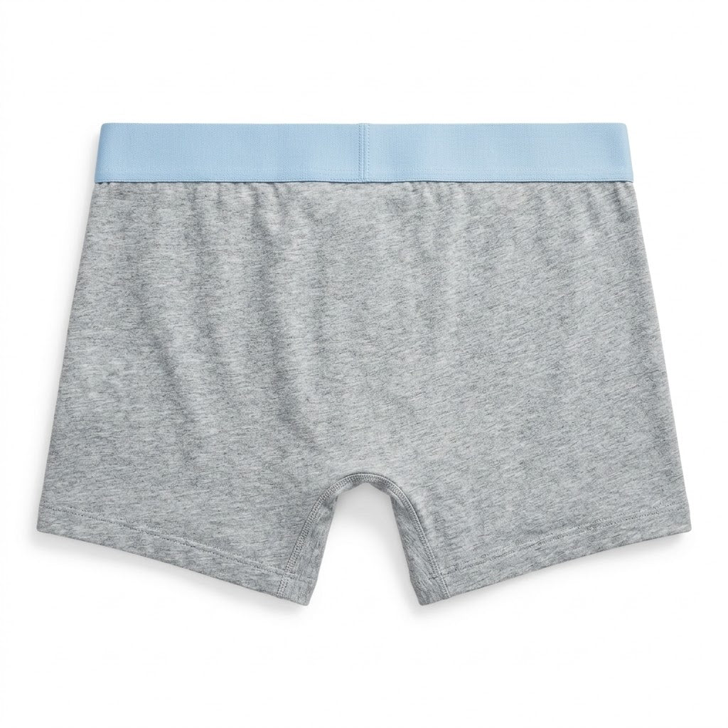 Ralph Lauren boxer