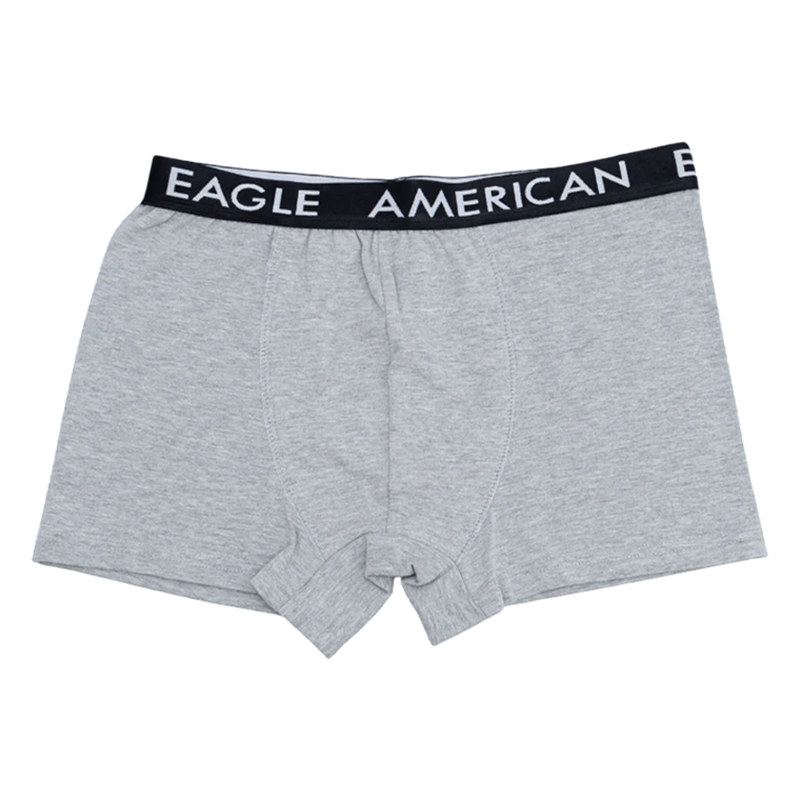 American Eagle boxer